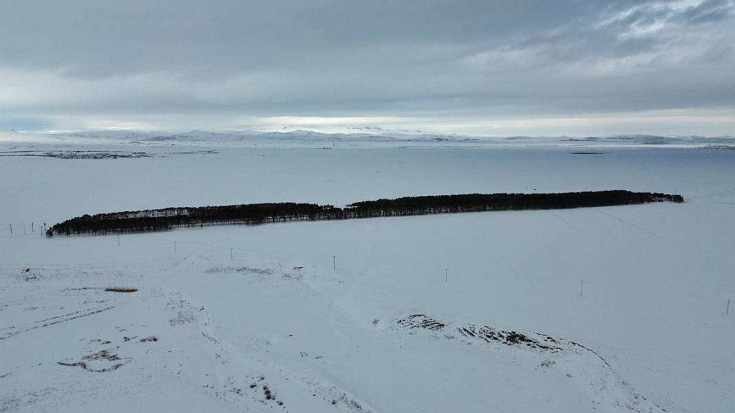 Karlar kraliçesinin saklı bahçesi gibi! Bozkırda yükselen yeşil cennet 4